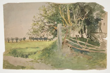 木と壊れたフェンスのある風景