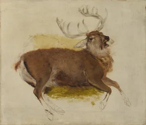 瀕死のクワガタ、ca。 1830年。
