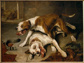 闘犬たちが息をひそめている...。