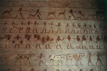 ベニハサンのネクロポリス。 Amenemhat の墓、詳細: 狩猟シーンと田舎の生活を描いた壁画