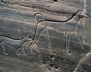 犬のカップル、入り口のレリーフ、サレンプット 2 世の墓、君主の墓、Qubbet el-Hawa、アスワンのナイル川西岸、エジプト文明、中王国、XII 王朝