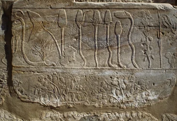 紀元前1465年、シリア遠征から帰還したトゥトモセ3世がアムンに捧げた動植物のレリーフ、植物園の間、カルナック、テバン・ネクロポリス、ルクソール、エジプト、新王国時代、第18王朝