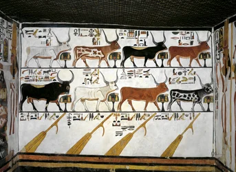 エジプト、テーベ、ルクソール、王妃の谷、ネフェルタリの墓、控えの間の別館、壁画、死者の書の挿絵、第89章