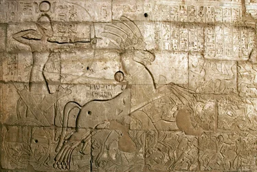エジプト古代美術：紀元前1274年のカデシュの戦いにおけるラムセス2世の功績を称えるレリーフ。ファラオは戦車に乗って表され、ファラオ、ラムセス2世（紀元前1279-1213年）に捧げられた葬祭殿、ラメセウム（Ramesseum）遺跡、L