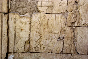 エジプトの古代遺物：供物を運ぶ人を表すレリーフ。エジプト、ルクソール（テーベ）、アンク＝ホル（アンクホル）の墓（TT414）（第26王朝、前672～525年