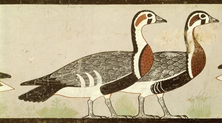 メイドゥムのガチョウ、ネフェルマアトとアテトの墓より、古王国時代、紀元前2620年頃