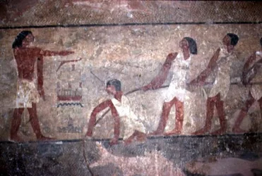 クヌムホテプ2世墓の網を引く漁師の絵（古王国時代、紀元前2600～1500年）（壁画