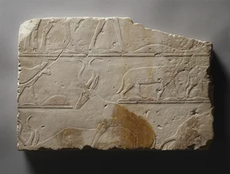 砂漠の動物による救済、旧王国、サッカラ、紀元前2472-2455年頃（石灰岩塗装）で発見