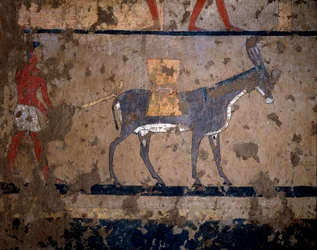 エジプトのアンティーク。"the transport of grain on a mule" 紀元前2200-2000年、イティ王（またはイティ）の首相の墓の壁に描かれたテンペラ画。ルクソールのエル・ゲベレンから。トリノ、エジプト博物館