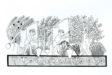 古代エジプトの庭園