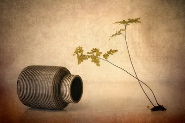 素朴な花瓶とシダ