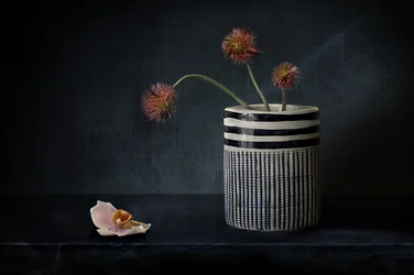ムードのあるとげのある花