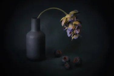 影のある花とベリー