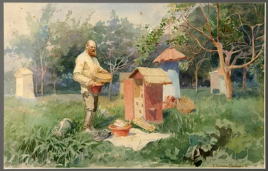 養蜂場で、1890 年