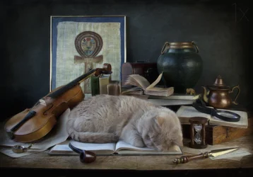 眠る猫の書斎