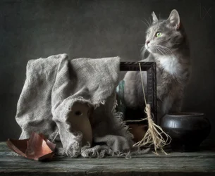 ヴィンテージの静物画：猫