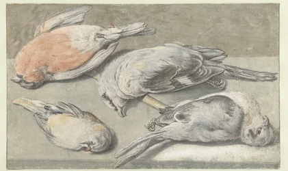 4羽の死んだ鳥のある静物
