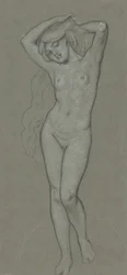 金星図の習作