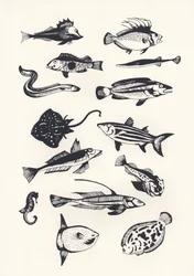 Monotone Plain Fish、2015年（スクリーンプリント）