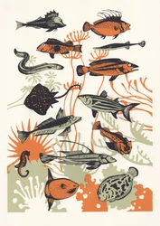 Orange Seaweed Fish、2015年（スクリーンプリント）