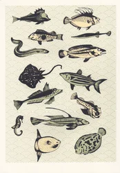 黄色い日本魚、2016（スクリーンプリント）
