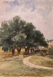 リッチモンド、1884年。
