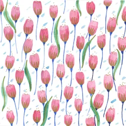 ピンクのチューリップ、2017年（水彩画）