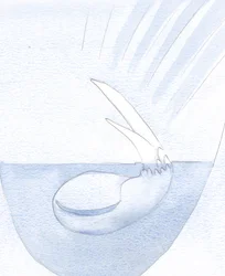 魂の種は沈黙と暗闇の中で柔らかくなっていたので、いつの日か芽が出るかもしれません。、2001（紙にw - c）