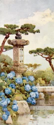 アジサイの茂み（カラーリトグラフ）