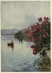 キョウチクトウ、Lago di Como、Richard Bagot 作「The Italian lakes」よりイラスト