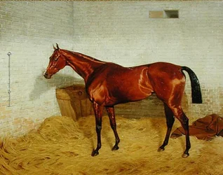 1885年のダービーを制した「ロンリー