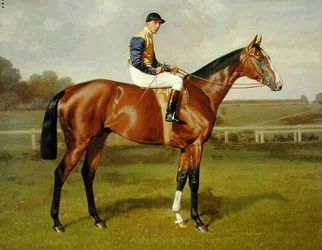 "Spearmint"、1906ダービーの勝者、1906