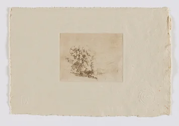 コネチカット・ヒルサイド（fm.ポートフォリオ）