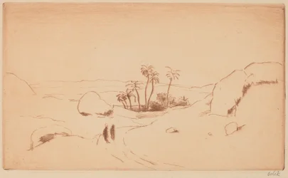 砂漠のオアシス
