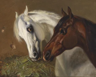 2頭の馬の頭