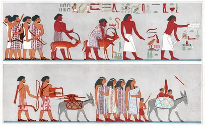 古代エジプトにおける移住 1880年頃（印刷物）