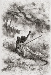 1878年に出版されたアンリテオフィルヒルディブランド（1824-97）によって刻まれた、「手の中の世界」のイラストを使ってアフリカを襲うヒョウ