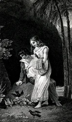 ジャック・アンリ・ベルナルダン・ド・サンピエール（Jacques Henri Bernardin de Saint-Pierre）の小説の19世紀後半の版を示すエングレーヴィング。ポールとヴィルジニー森の中の恋人同士の若いカップルの近くには、鳥たちが恐れることなく舞い降りてくる。ドローイングB