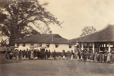 結婚式の行列、中国コーチン、1866 年。