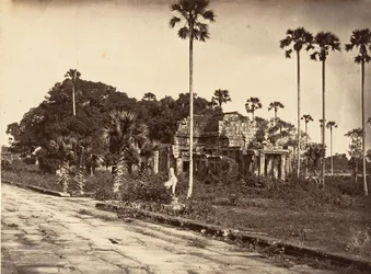 1866年、南側の外部小枝。