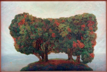 海辺の木のグループ