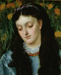美しい壁の花