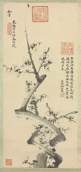 梅の花、1894