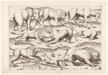 9匹の野生動物 アンティーク壁画の動物たち（シリーズタイトル） Speculum Romanae Magnificentiae (シリーズ名)