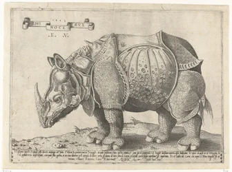 ノイショールン Rhinocerus (オブジェクトのタイトル)