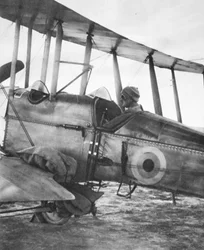 1916年6月21日、イラストレイテッドウォーニュースより、クットギャリソンにフライングマシンがどのようにして給餌されたか：穀物の袋を入れて飛行する準備ができている