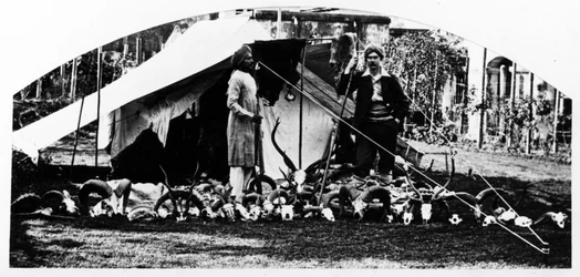 私のインドの狩猟トロフィー、1870年代頃