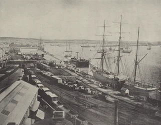 ニューカッスル