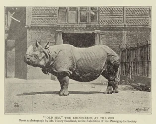 動物園のサイ、オールドジム