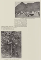 南アフリカ戦争の写真